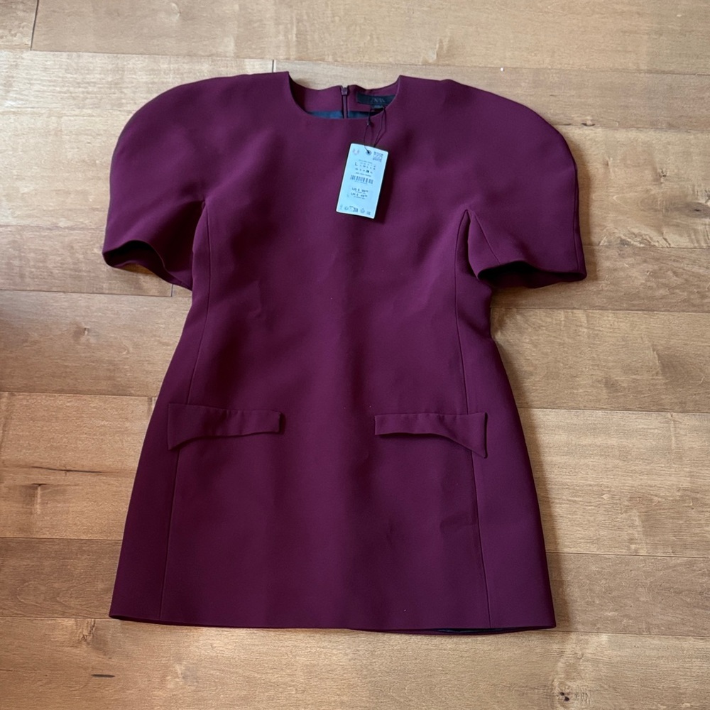 Zara Rich Burgundy Dress!New!